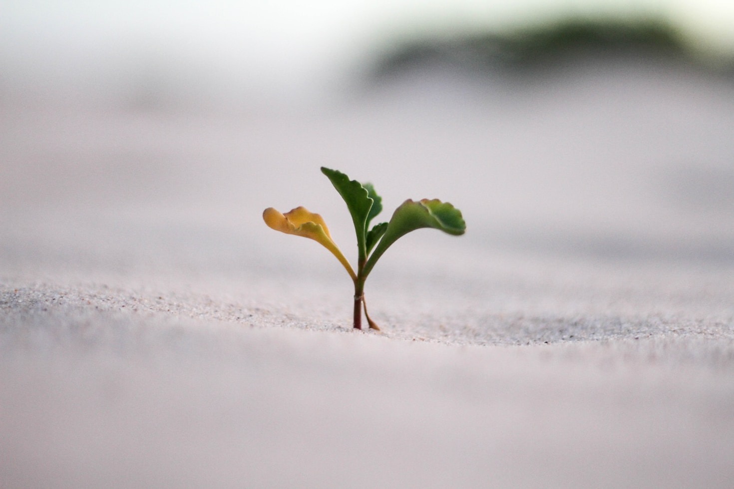 5 Steps to Reclaiming Your Confidence